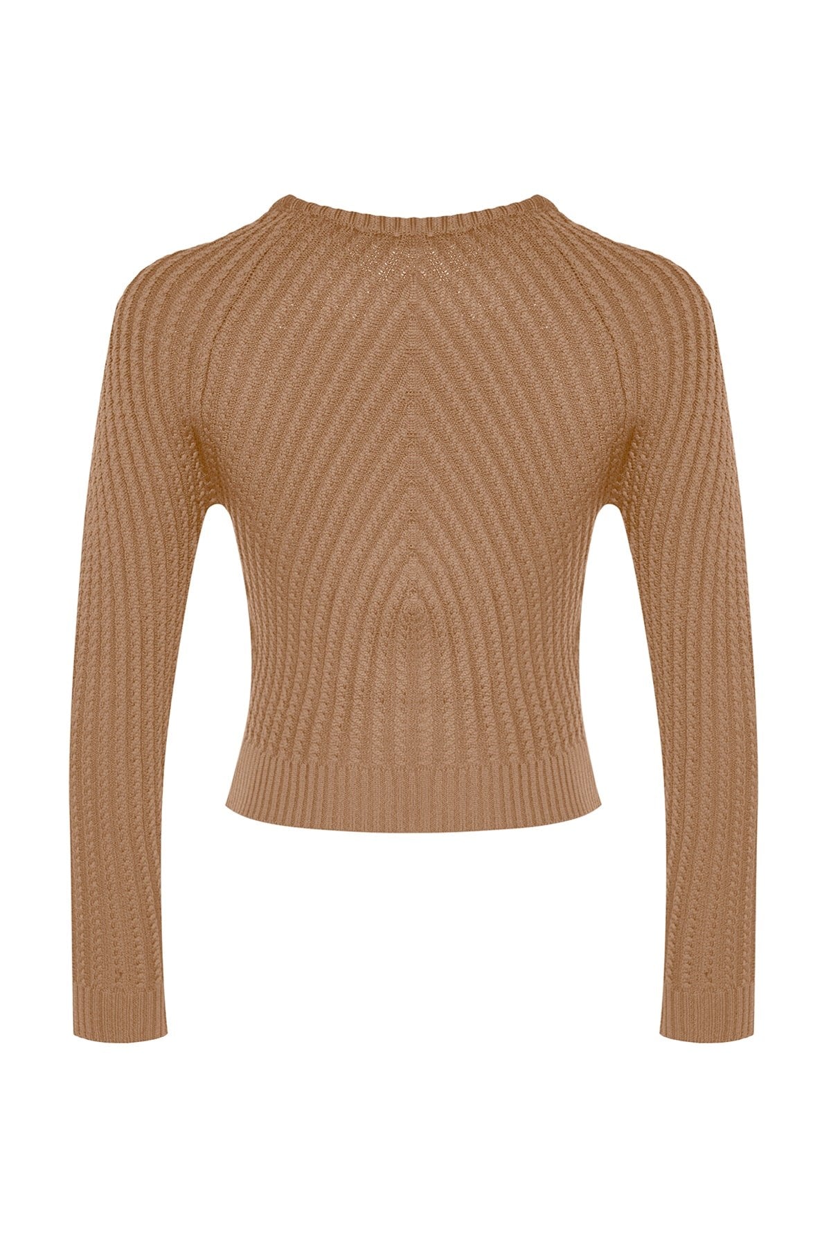 Camel Crop Crew Neck Knitwear Sweater Twoaw24kz00765