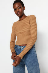 Camel Crop Crew Neck Knitwear Sweater Twoaw24kz00765