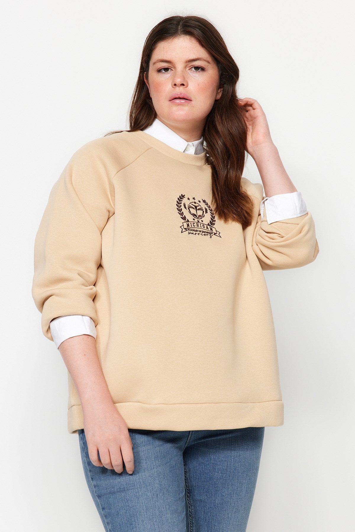 Camel Thick Inner Polar Embroidery Detailed Knitted Sweatshirt Tbbaw24ao00021