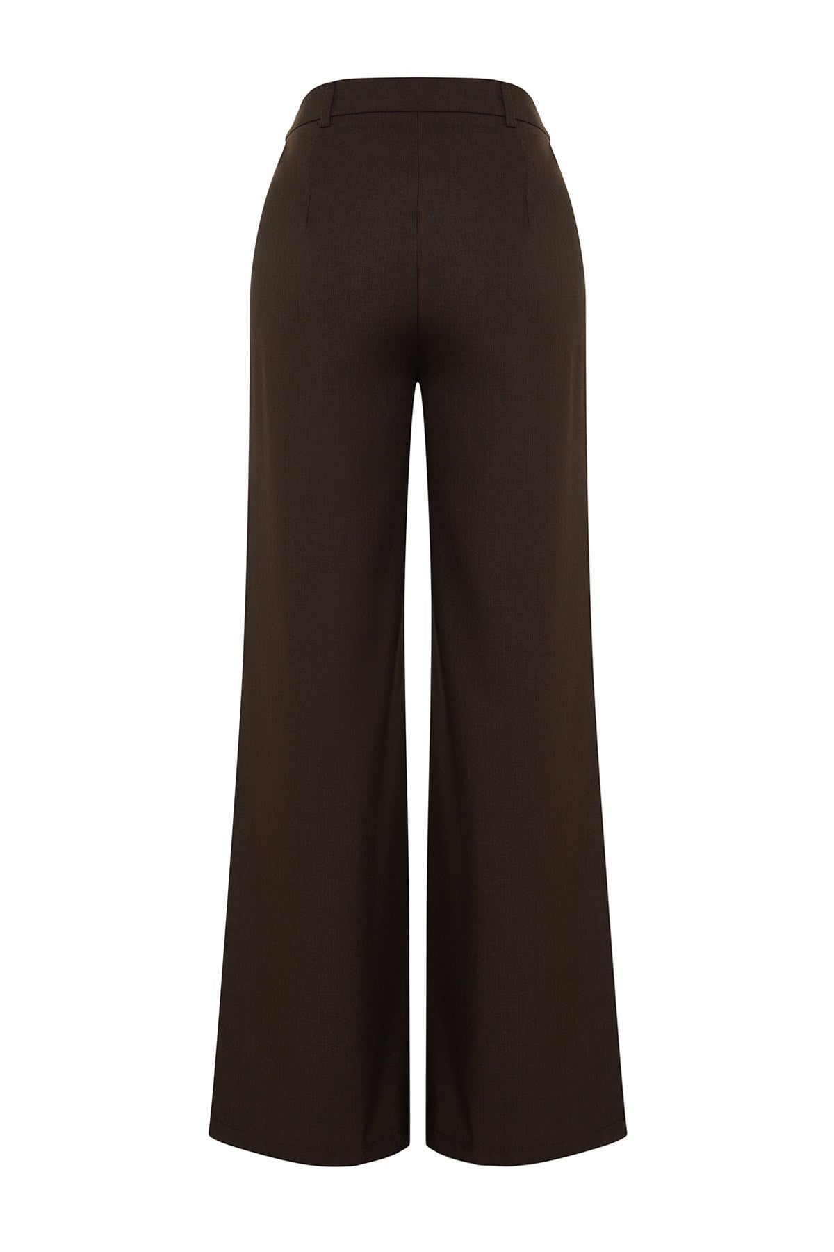 Brown Wide Leg Wide Leg Pleated Woven Pants Twoaw22pl0475