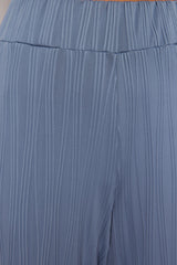 Indigo Textured Premium Fabric Wide Leg/wide Leg Knit Pants Twoss24pl00070