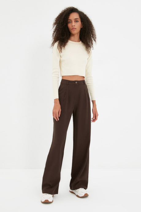 Brown Wide Leg Wide Leg Pleated Woven Pants Twoaw22pl0475