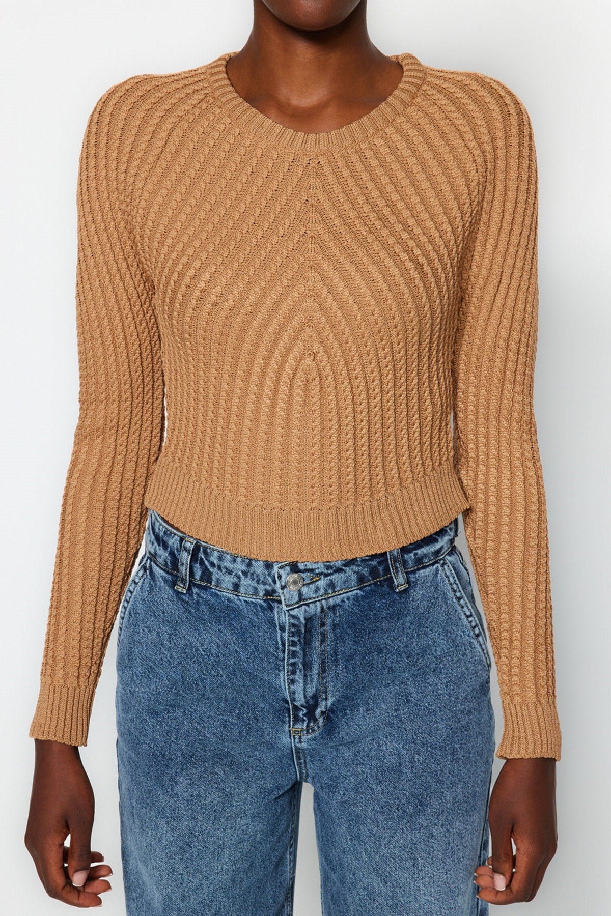 Camel Crop Crew Neck Knitwear Sweater Twoaw24kz00765