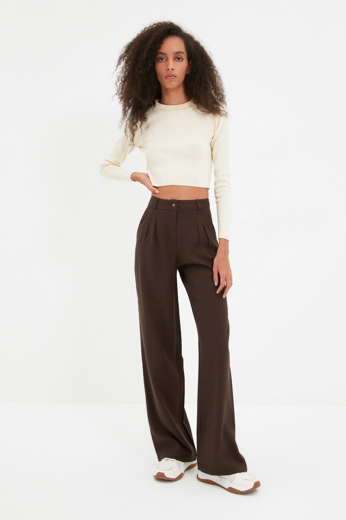 Brown Wide Leg Wide Leg Pleated Woven Pants Twoaw22pl0475