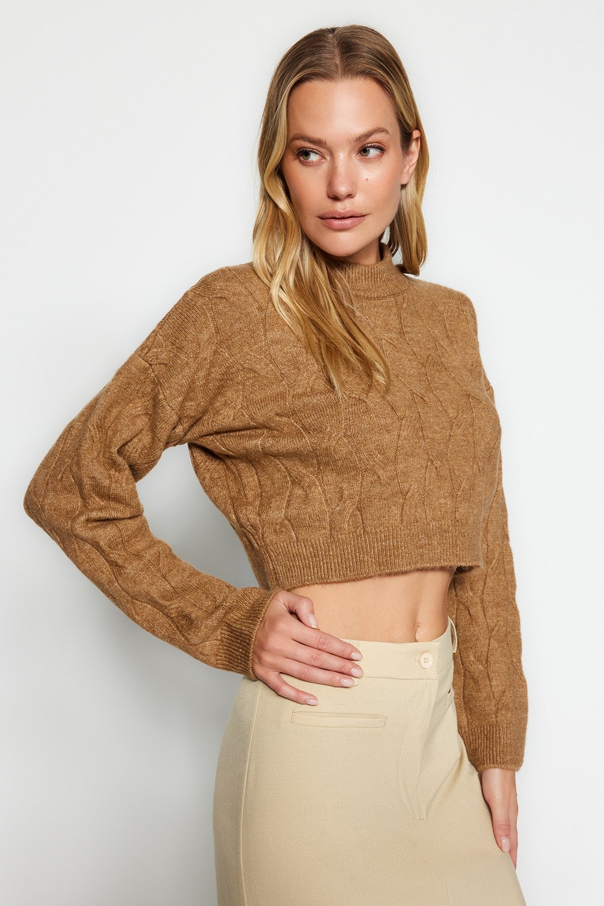 Beige Crop Crew Neck Knitwear Sweater Twoaw24kz00695