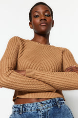 Camel Crop Crew Neck Knitwear Sweater Twoaw24kz00765