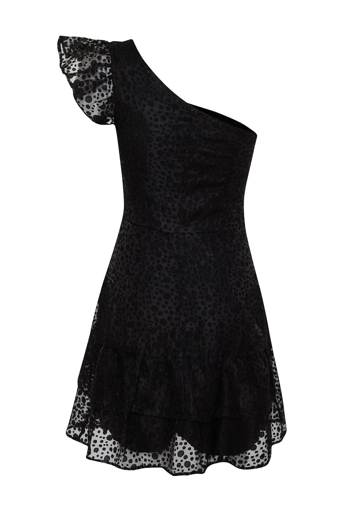 Black Single Sleeve Skater/waist Lace Chic Evening Dress Tprss24el00155