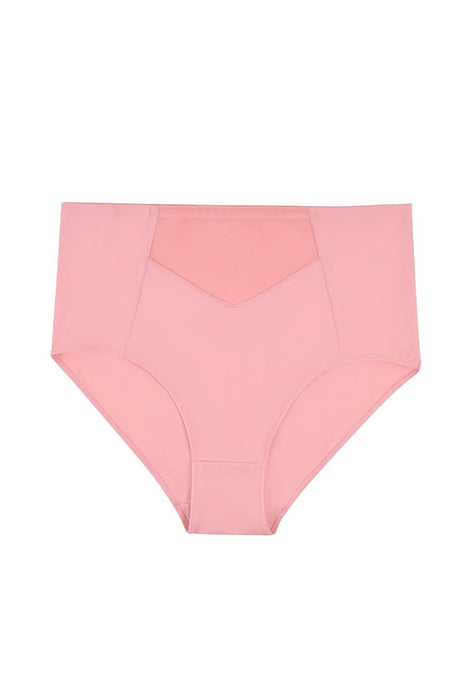 Rosa Repairing Slip Panties Sw8340