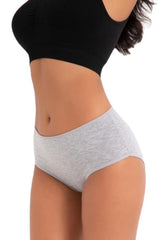 (10pcs) High Waist Classic Side Thick Brief Women Panties 2056 Alm2056-10