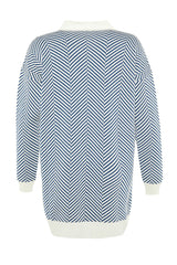 Blue Striped Knit Cardigan Tctaw23hi00070