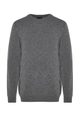 Limited Edition Beige Mens Regular Fit Crew Neck Woolen Basic Knitwear Sweater Tmnaw24kz00058