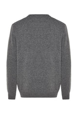 Limited Edition Beige Mens Regular Fit Crew Neck Woolen Basic Knitwear Sweater Tmnaw24kz00058