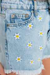 Blue Denim Embroidered Denim 100% Cotton Shorts & Bermuda Tbess22sr0392