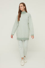 Mint Half Turtleneck Striped Knitwear Sweater Tctaw22ak0185