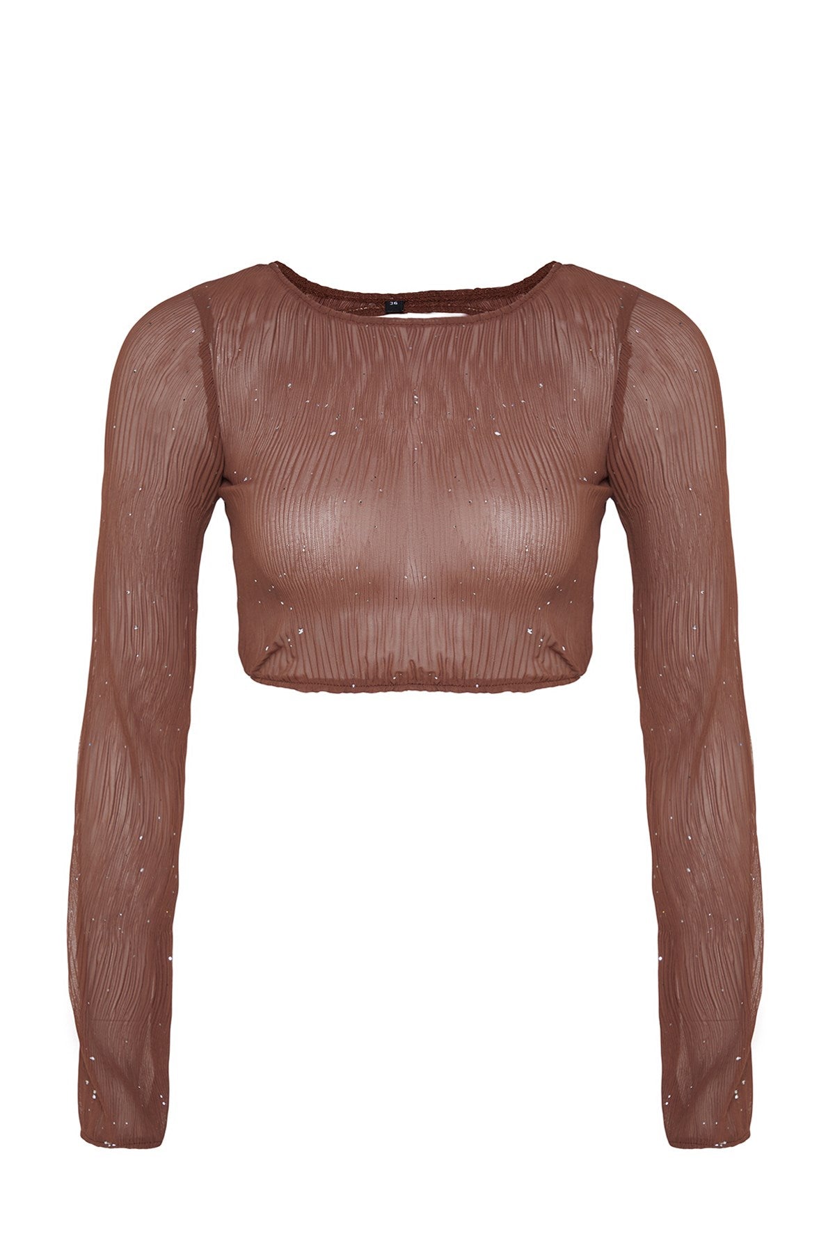 Brown Glitter Back Detailed Blouse Tpraw24bz00004