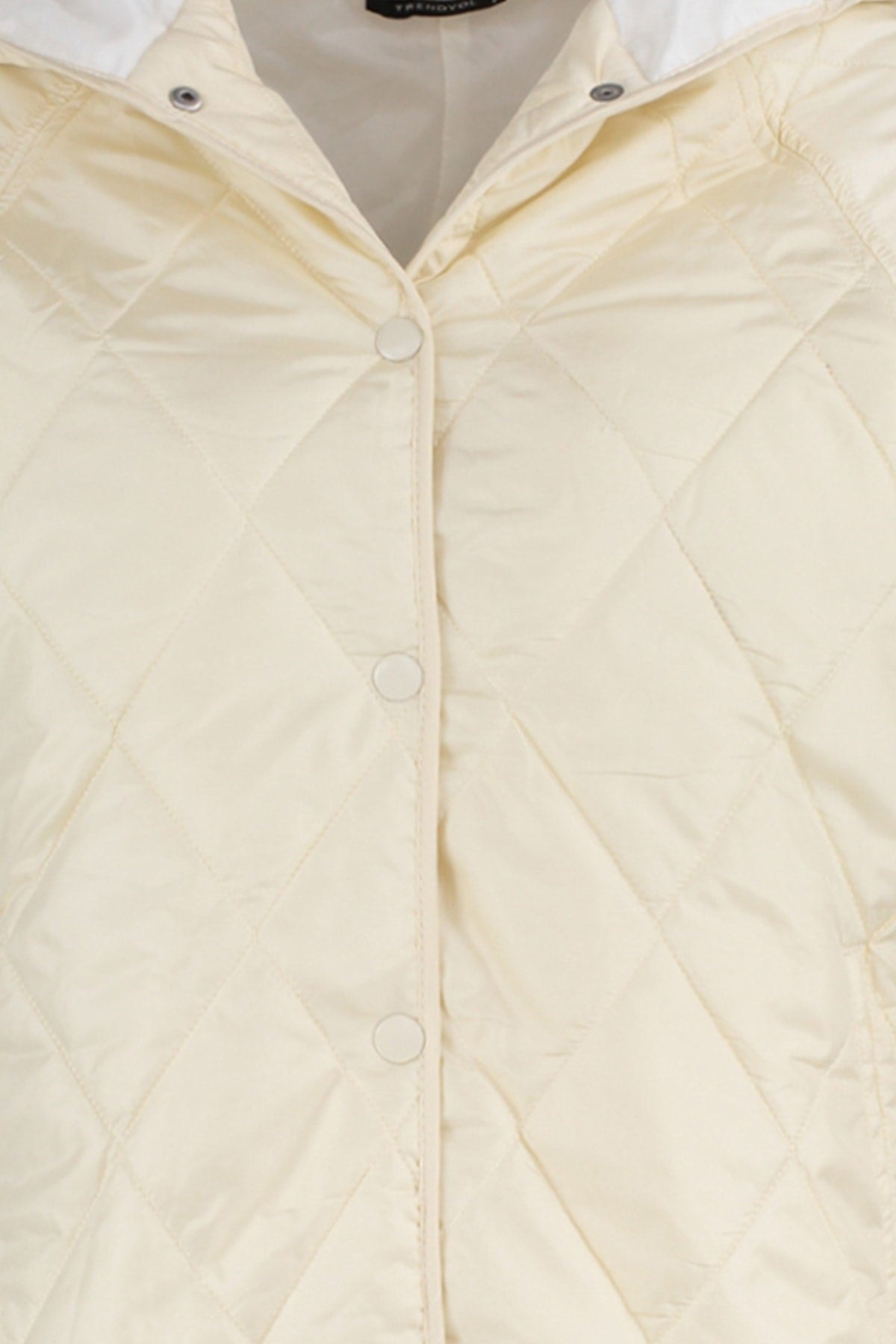 Beige Oversize Hooded Water Repellent Quilted Coat Twoaw22mo0024